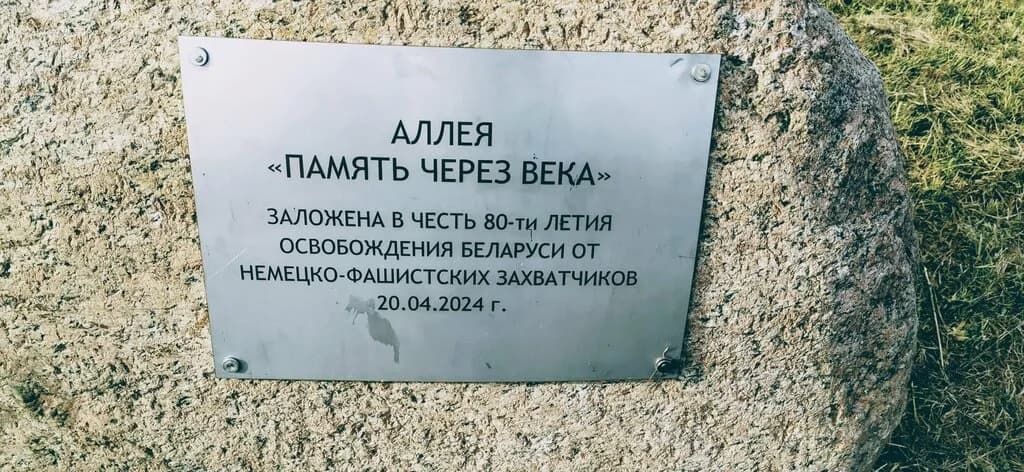 Аллея Память через века в честь 80-ти летия освобождения Беларуси от немецко-фашистских захватчиков — фото 2