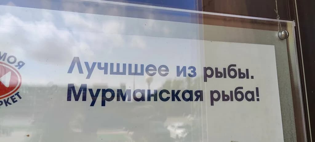 Рыбка моя — фото 5