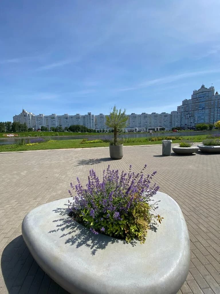 Цiмохiн двор — фото 6