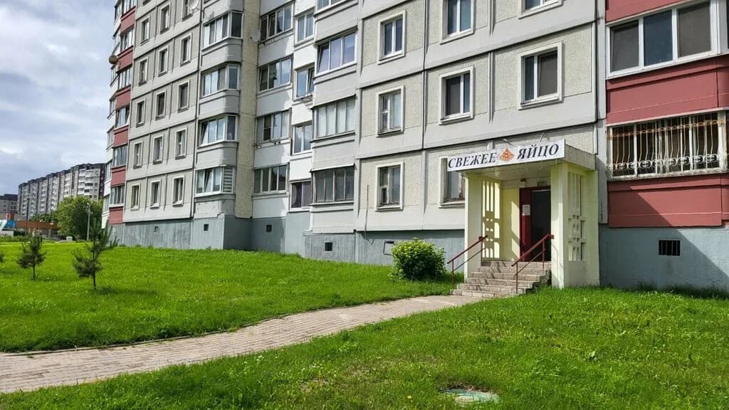 Свежее яйцо — фото 5