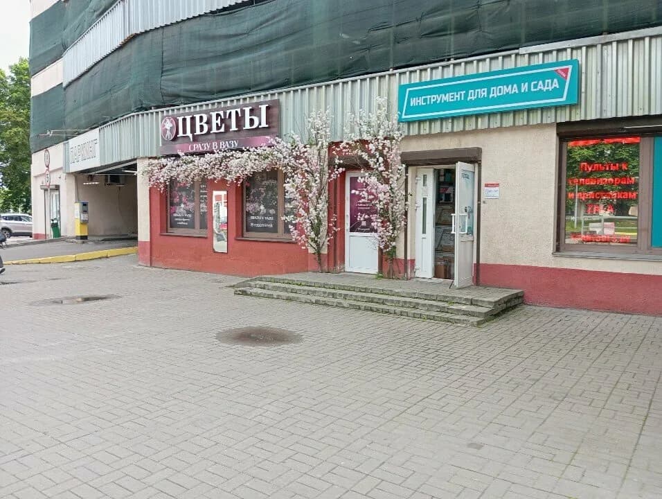 Сразу в Вазу — фото 4