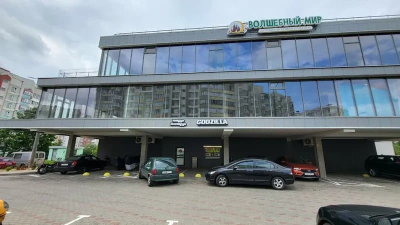 Пицца Лисицца