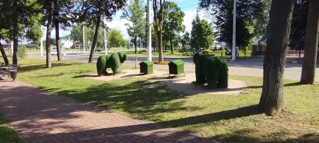 Медведи на пасеке — фото 2