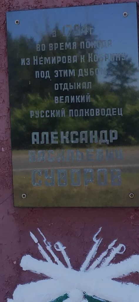 Дуб Суворова — фото 2