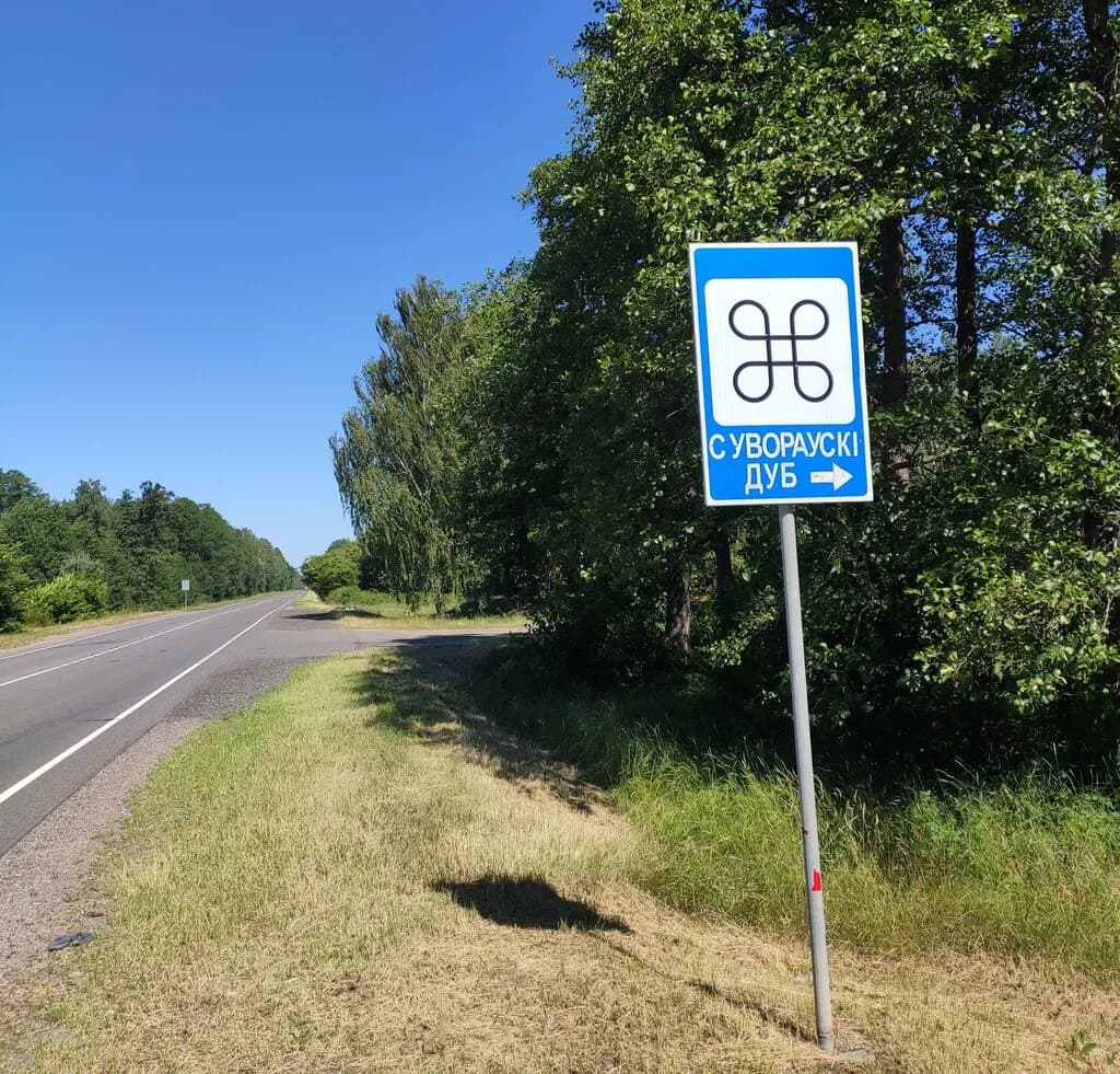 Дуб Суворова — фото 6