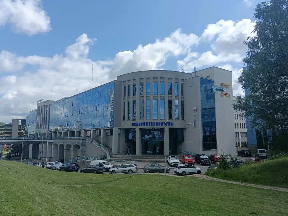 Золотая роза — фото 3