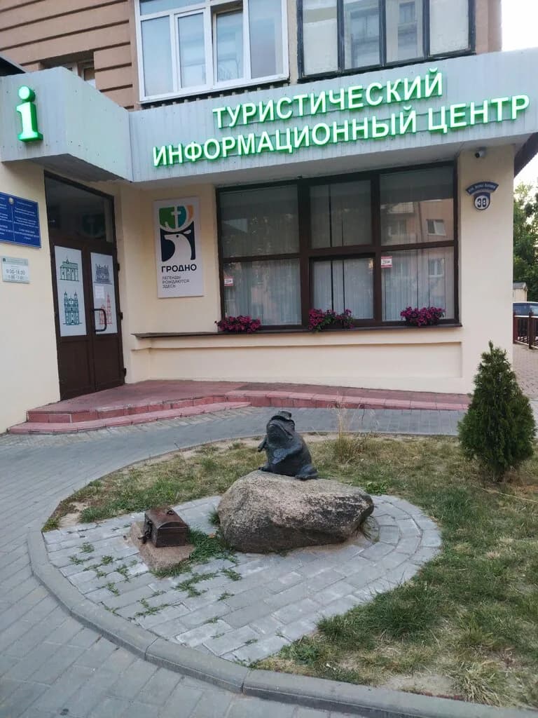 Лягушка-путешественница — фото 3