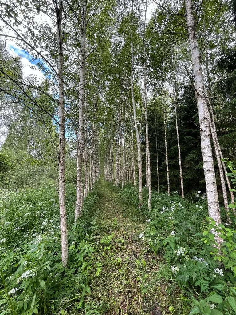 Щарка - Парк — фото 3