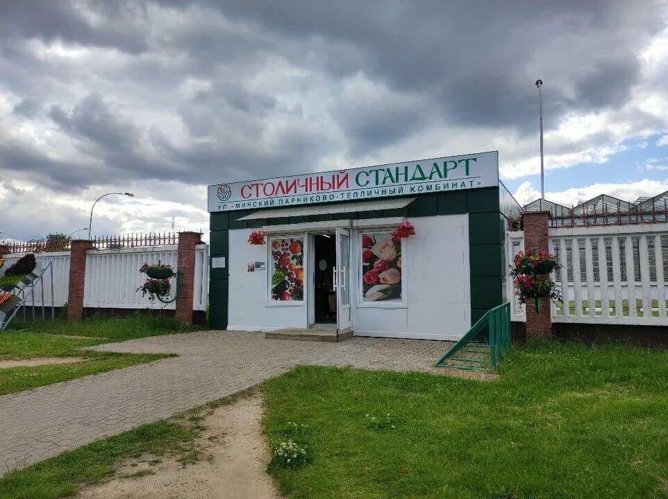 Столичный Стандарт — фото 3