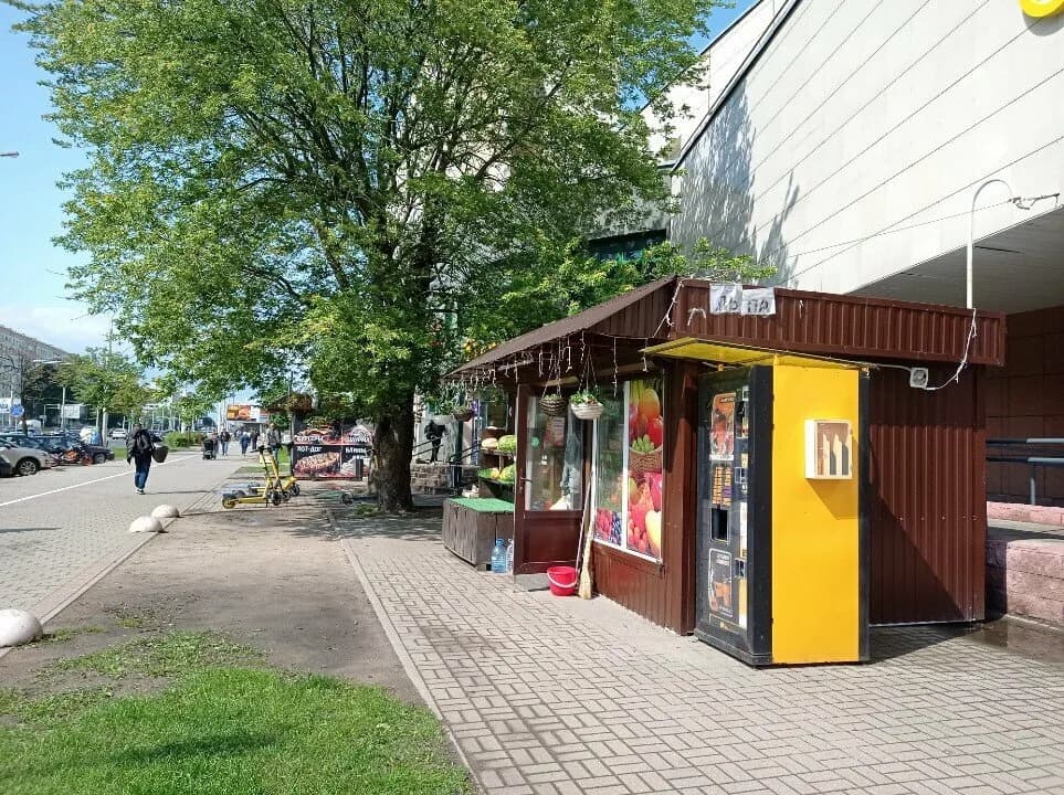 Овощи и фрукты — фото 5