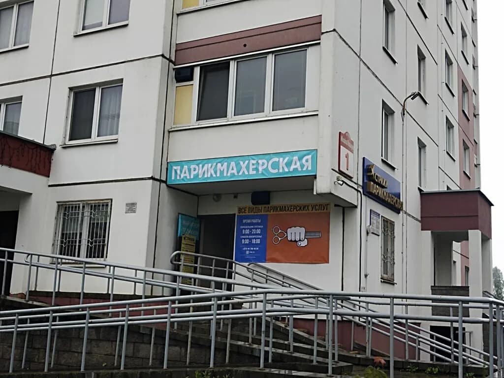 Стрижи