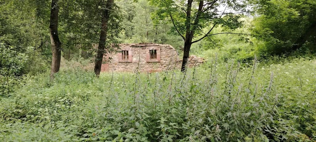 Развалины мельницы — фото 5