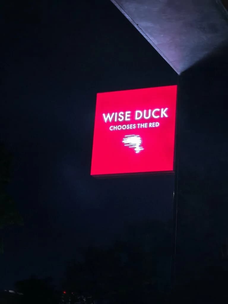 Wise Duck Chooses The Red — фото 4