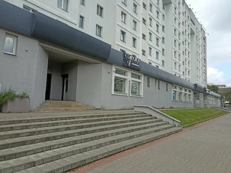 Сорока — фото 3