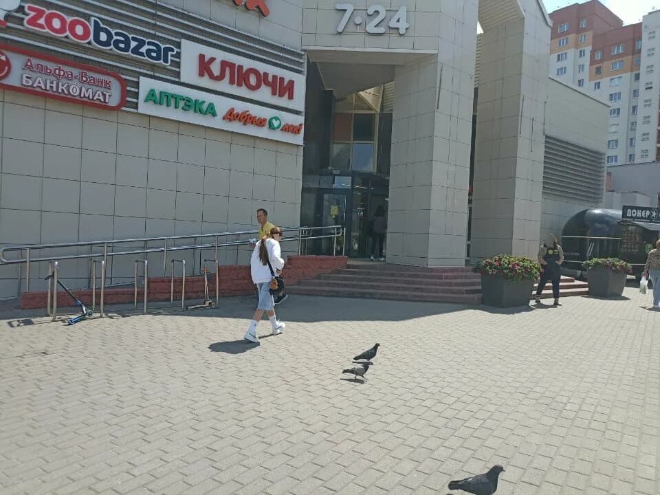 Папирусный буклет — фото 6