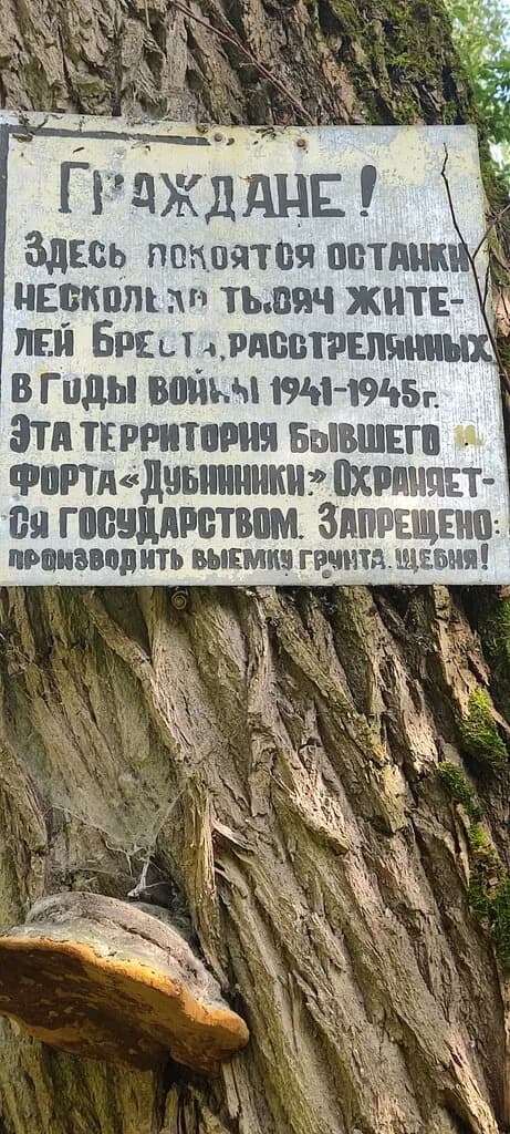 Форт литеры Ж Дубинники второй линии обороны Брестской крепости — фото 2