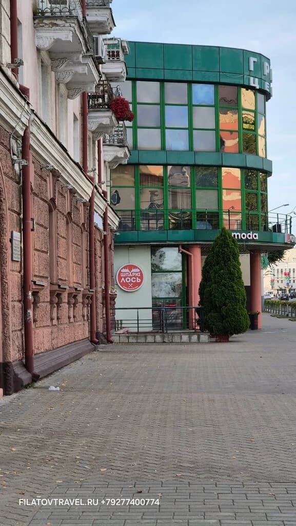 Шпаркі лось