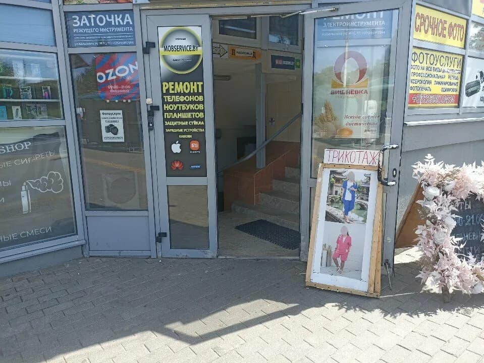 Диана — фото 6