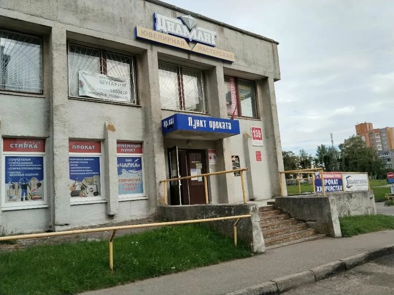 Чайка
