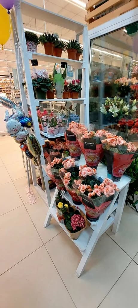 Цветы