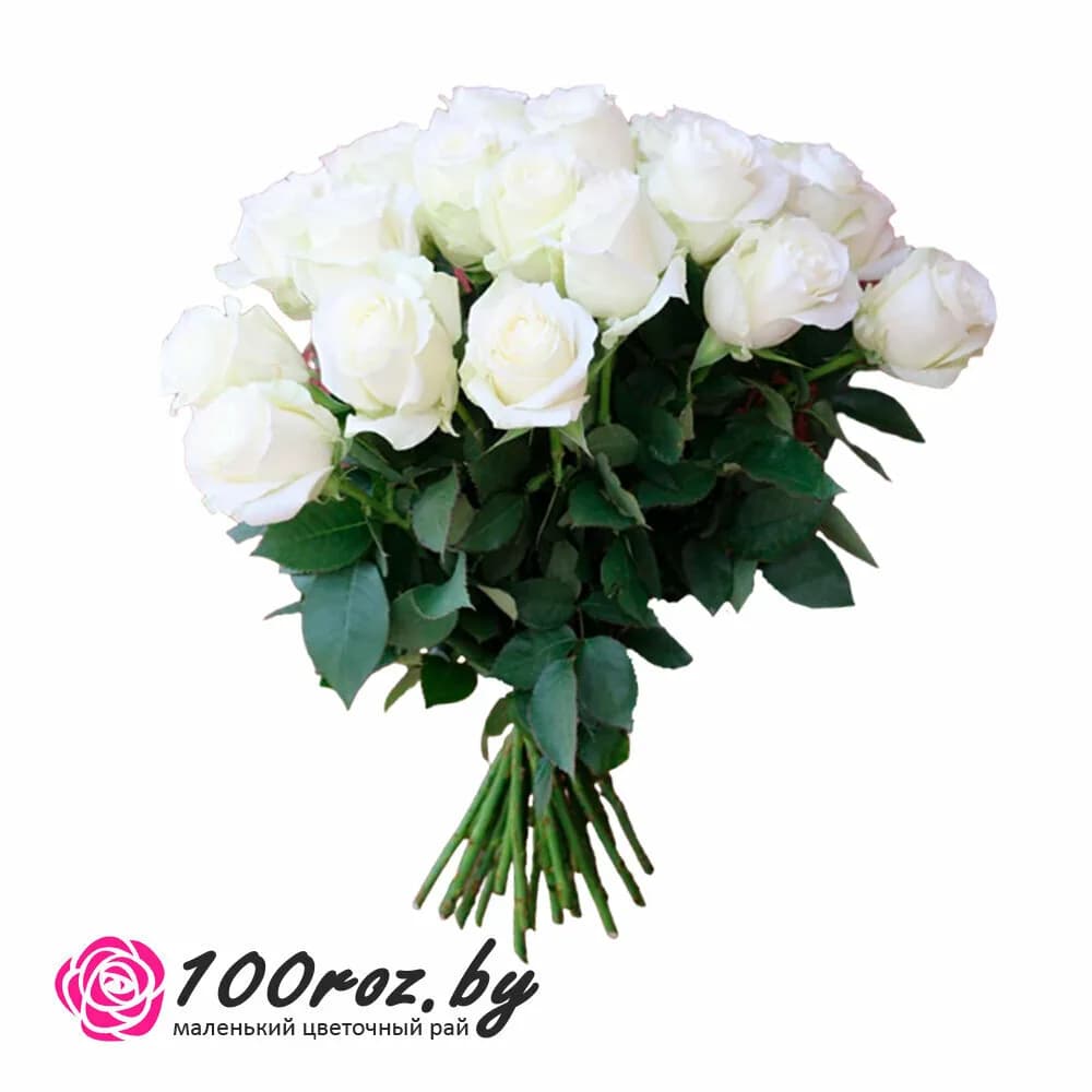 100roz.by — фото 6