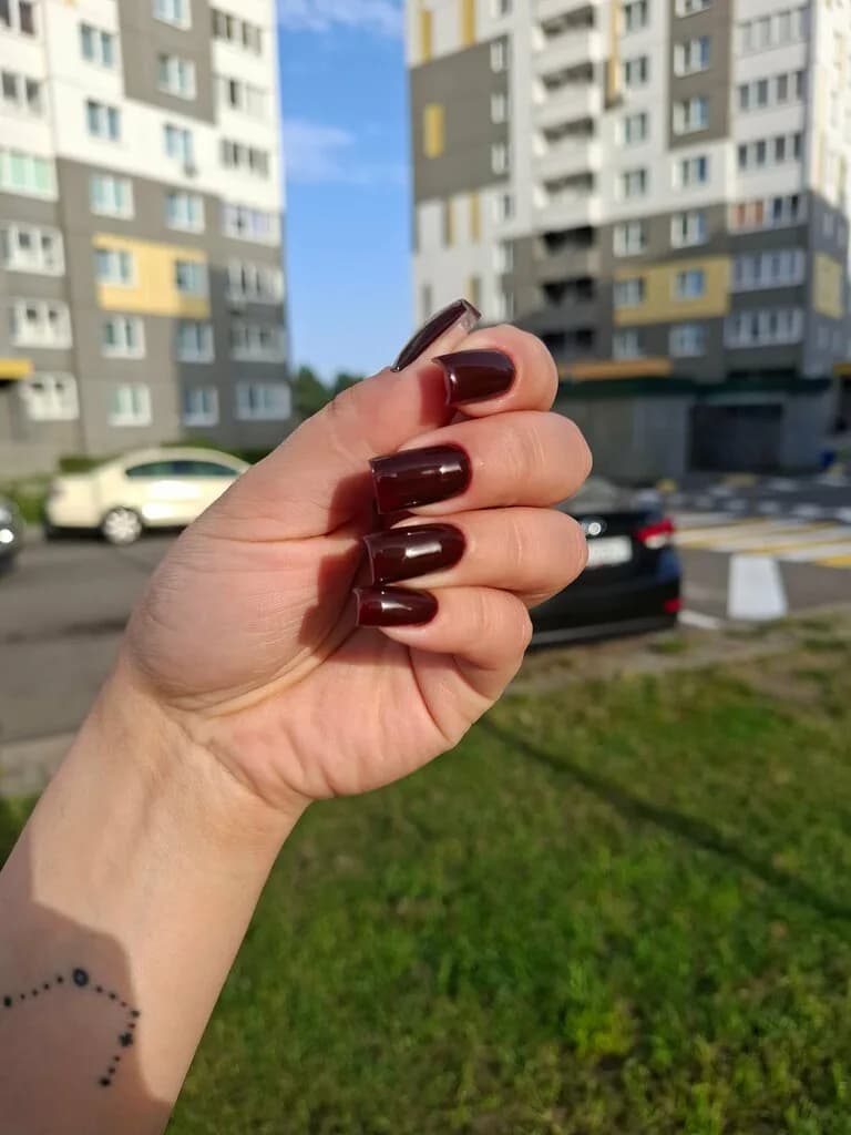 Белый василек — фото 3