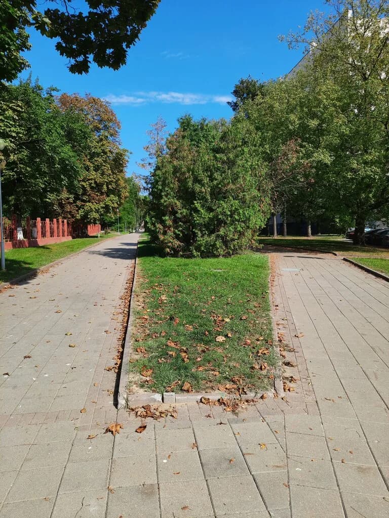 Аллея партизан — фото 5