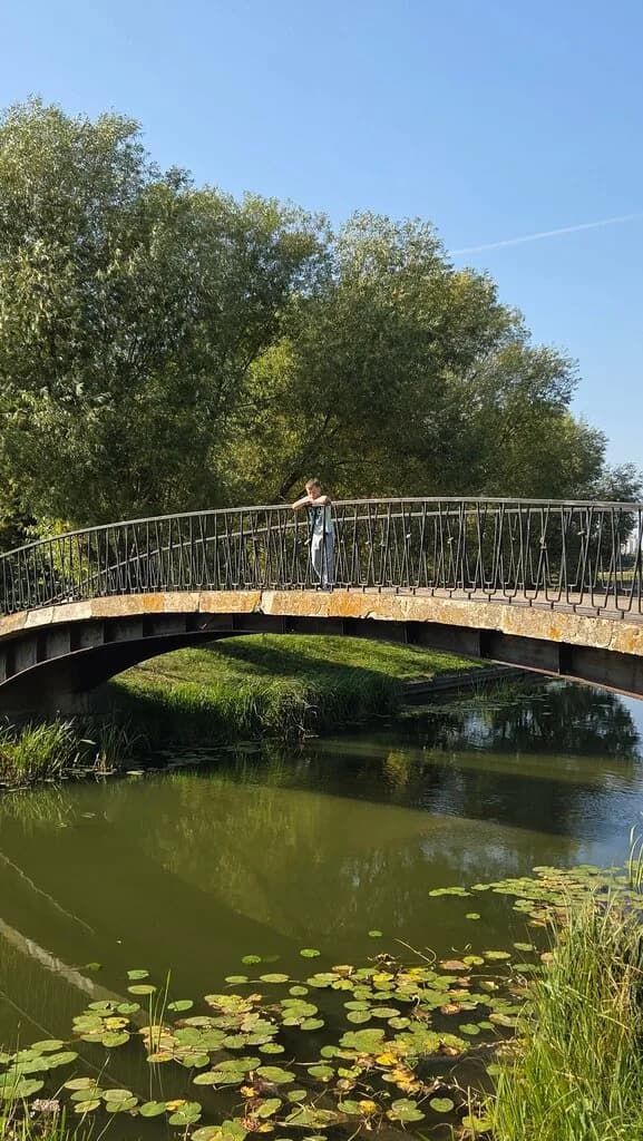 Парк «Семейных деревьев»