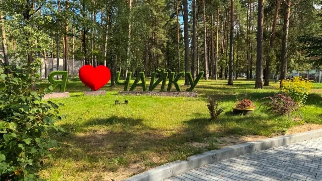 Детский оздоровительный лагерь "Чайка" — фото 2