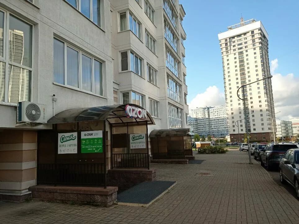 Боди — фото 4