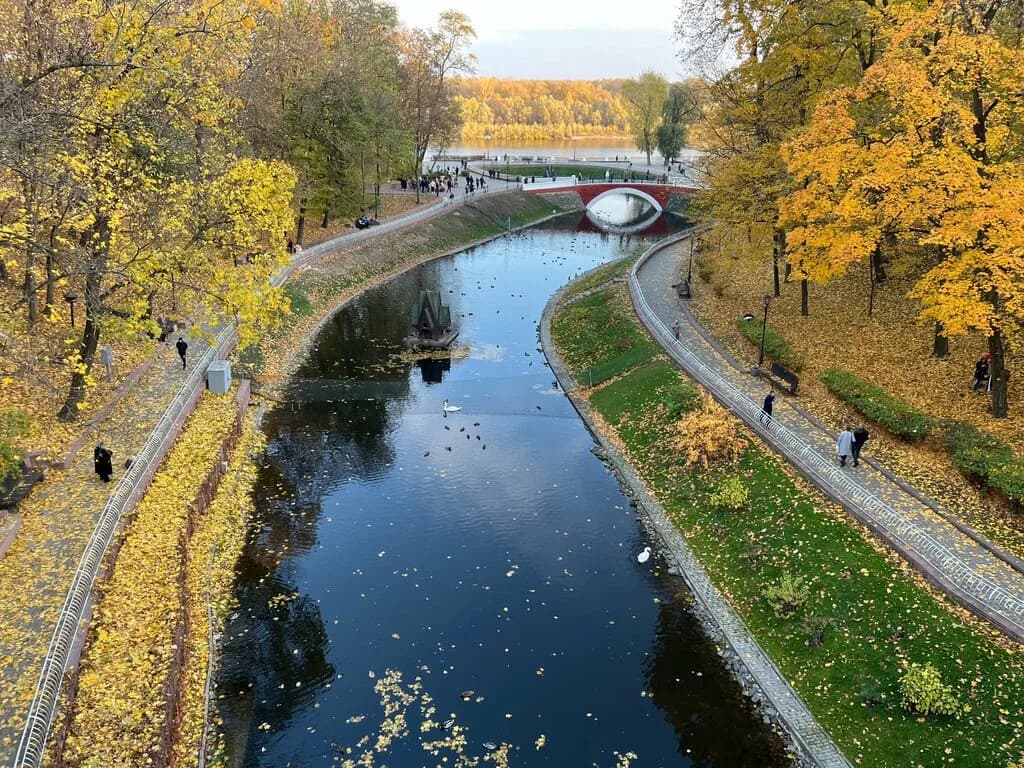 Лебяжий пруд — фото 3