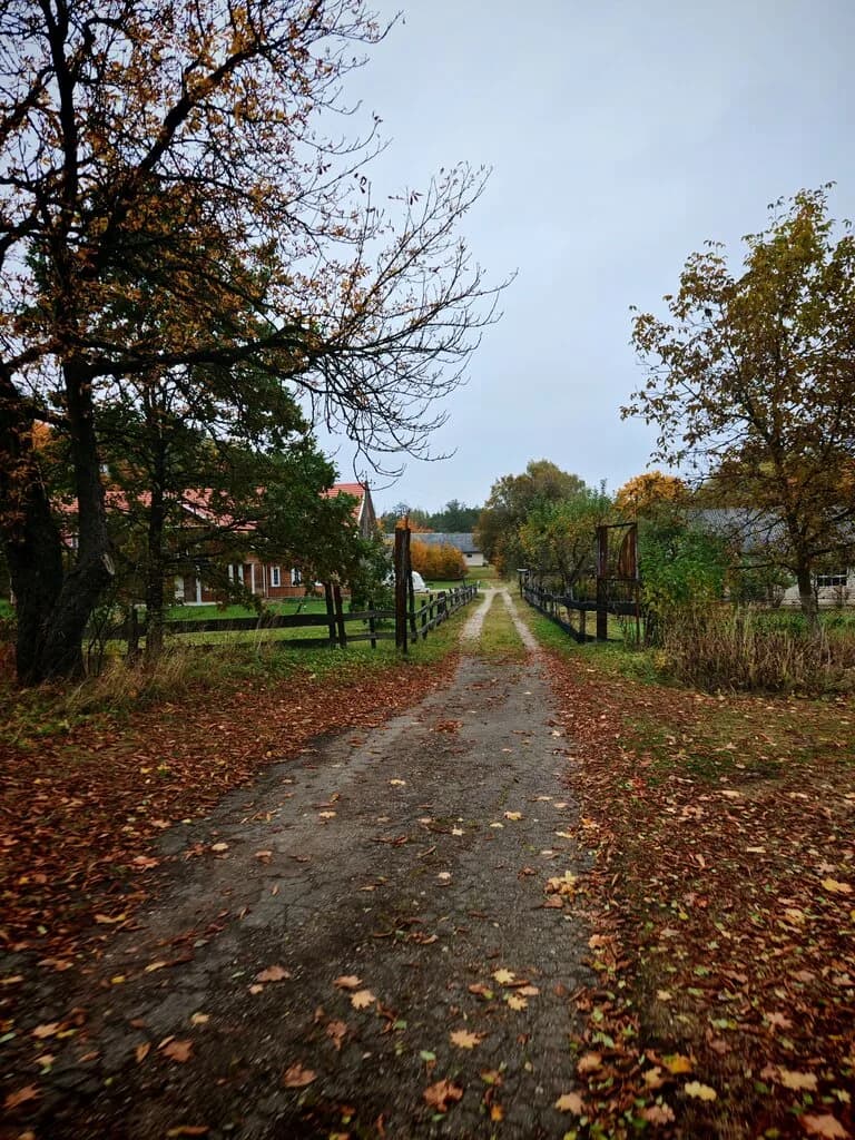 Усадебно-парковый комплекс Пашкевичей — фото 3