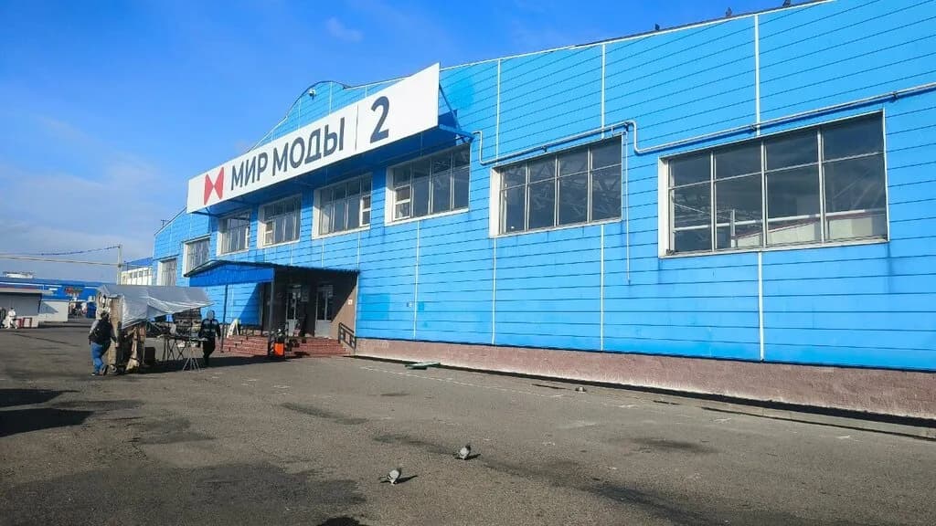 Людмила — фото 6