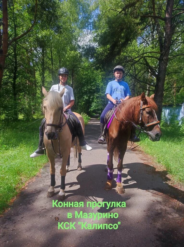 Конно-спортивный клуб Калипсо