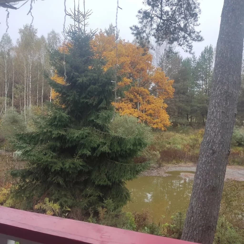 Усадьба тумановка — фото 6