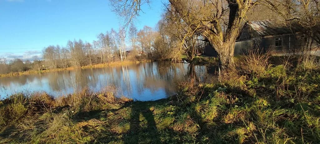 Водяная мельница — фото 4
