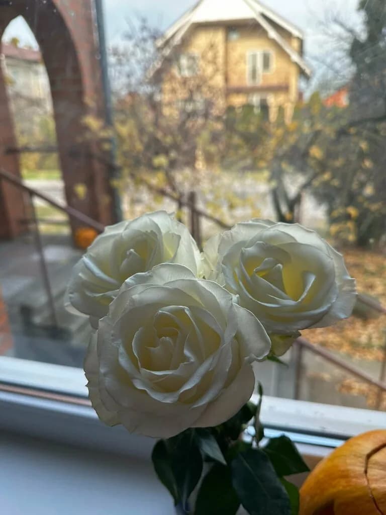 Раиса — фото 6