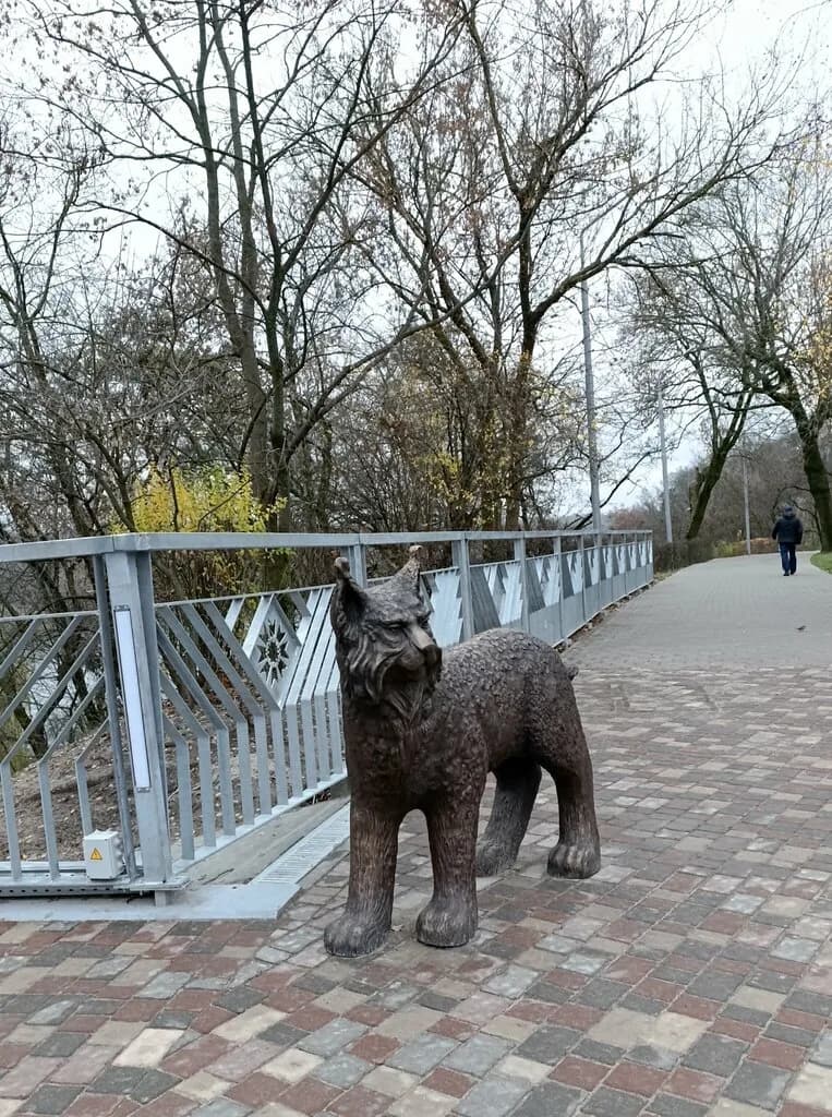 Пешеходный мост — фото 2