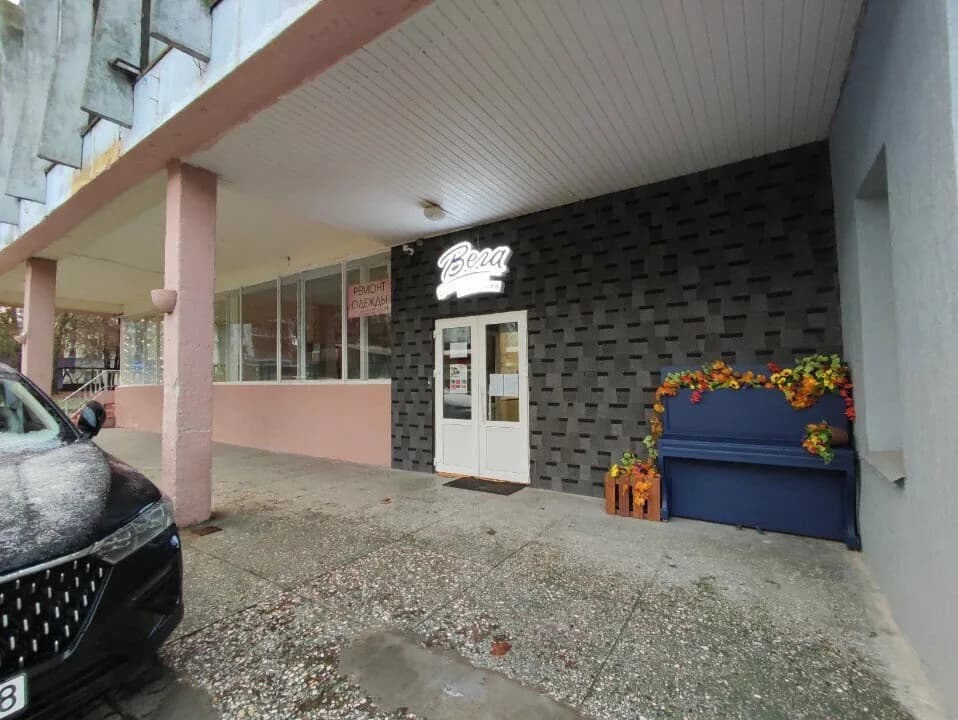Вега — фото 5