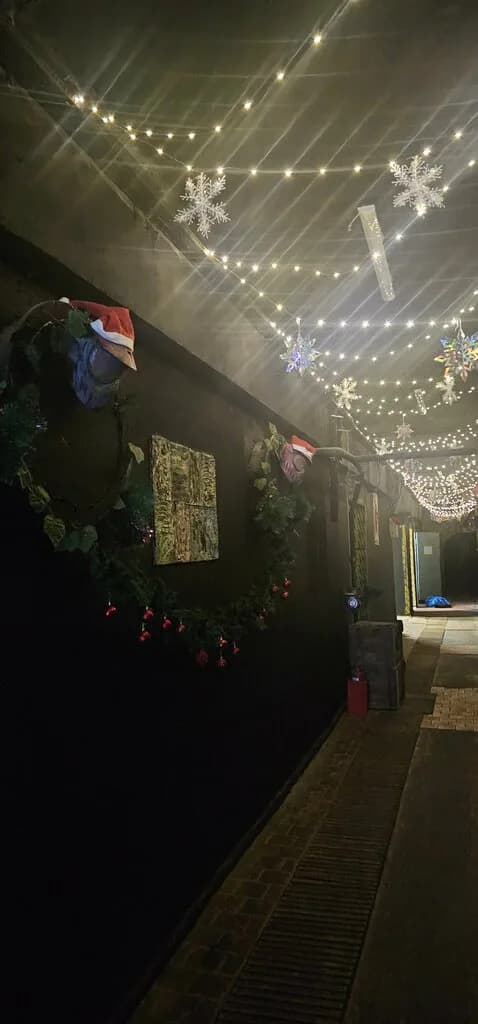 Московская Федерация Пейнтбола — фото 3