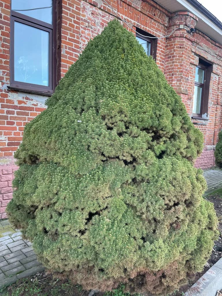 Усадьба Богуславских — фото 5