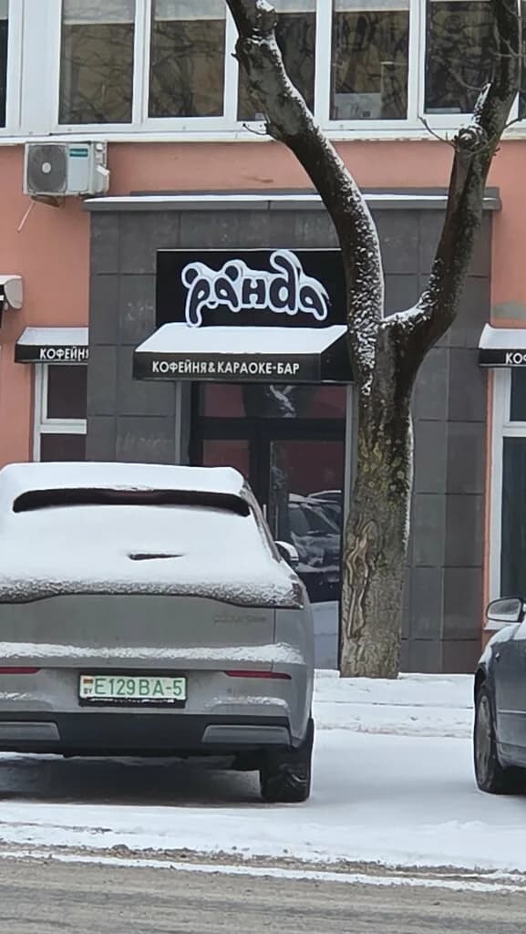 Панда — фото 6