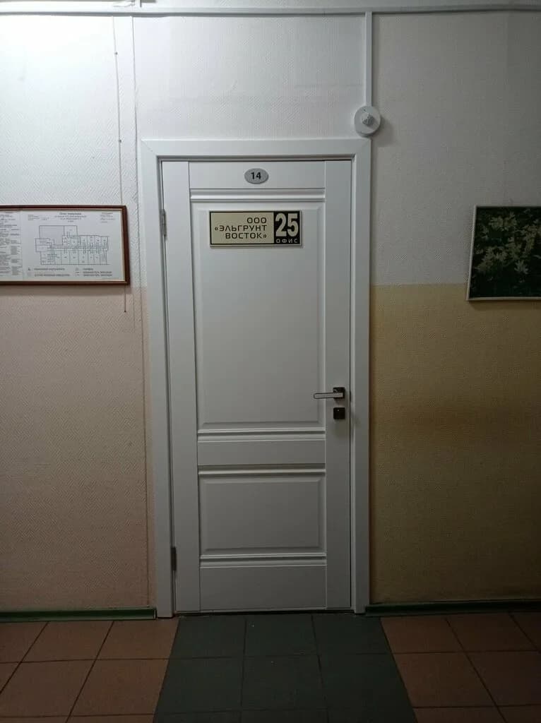 Эльгрунт Восток — фото 4