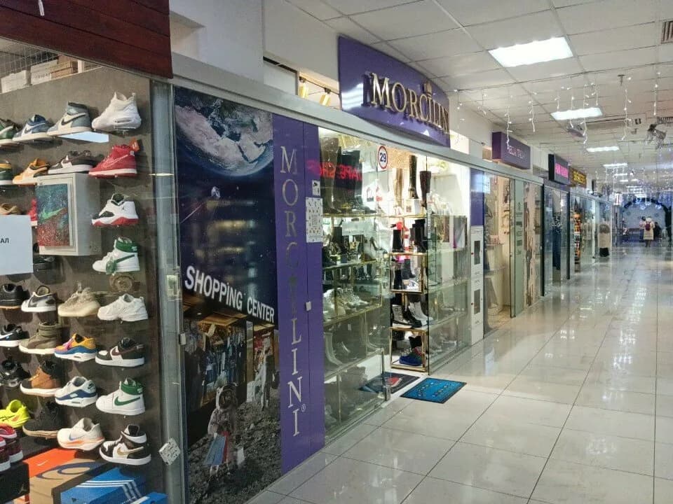 Morcilini
