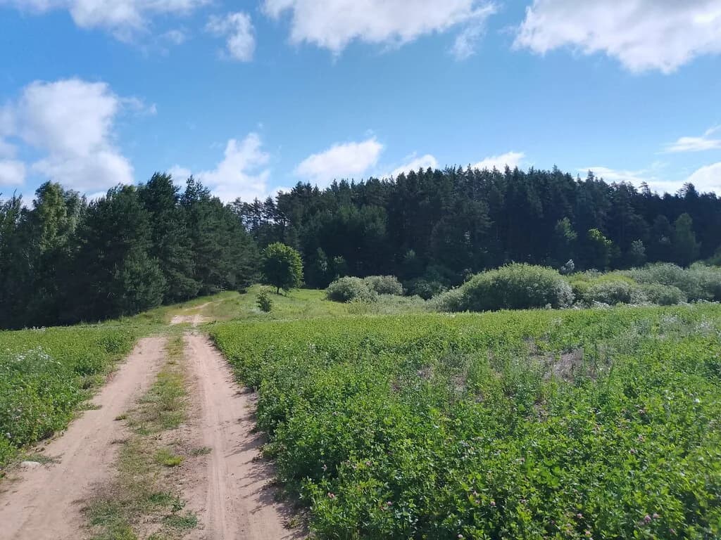 Гора Шиловка