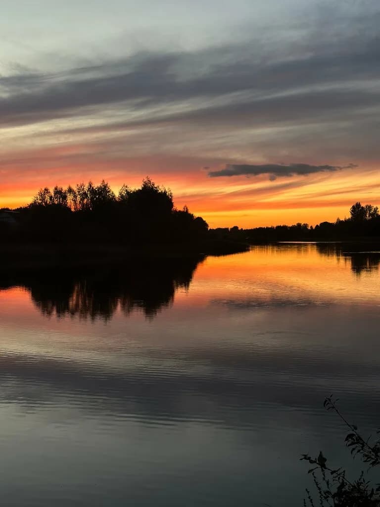 Васильковый кут — фото 2