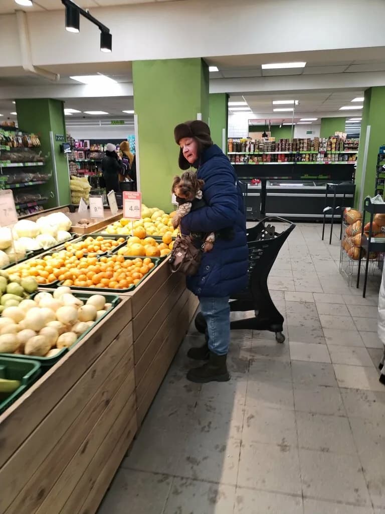 Евроопт Market