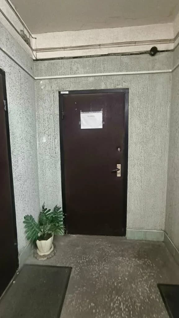 Дюма — фото 3