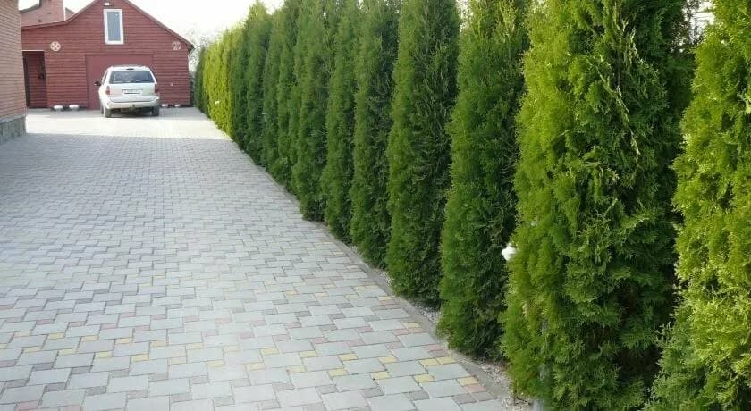 Усадьба Светлые Росы — фото 2