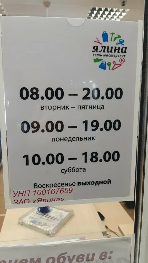 Ялина-Orto — фото 4